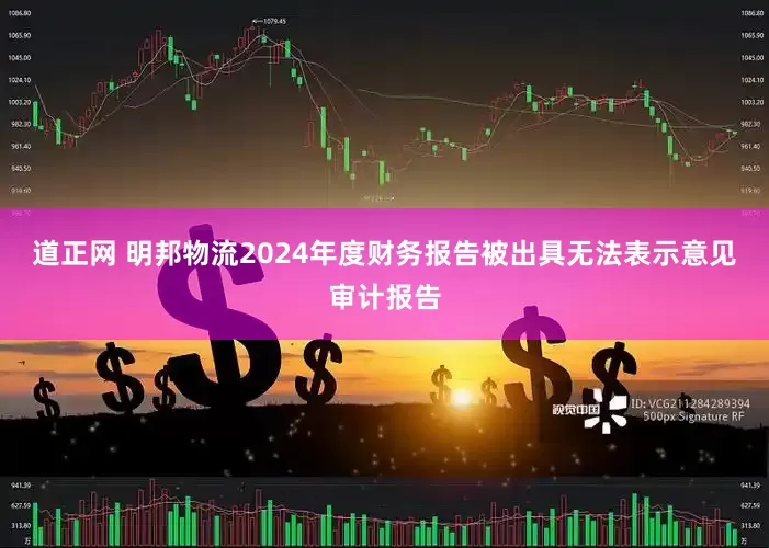 道正网 明邦物流2024年度财务报告被出具无法表示意见审计报告