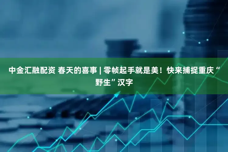 中金汇融配资 春天的喜事 | 零帧起手就是美！快来捕捉重庆“野生”汉字