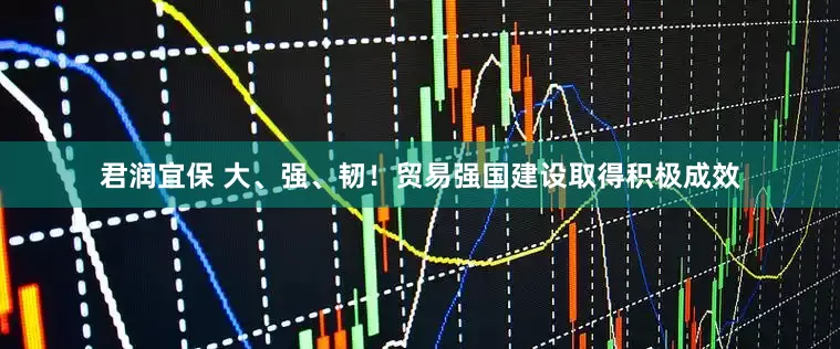 君润宜保 大、强、韧！贸易强国建设取得积极成效